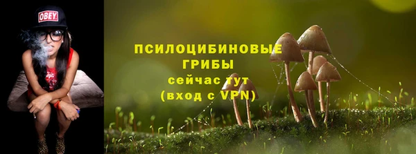 тгк Абинск