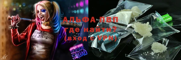 круглые Абаза