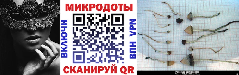 Псилоцибиновые грибы Magic Shrooms  купить  цена  Новокубанск 