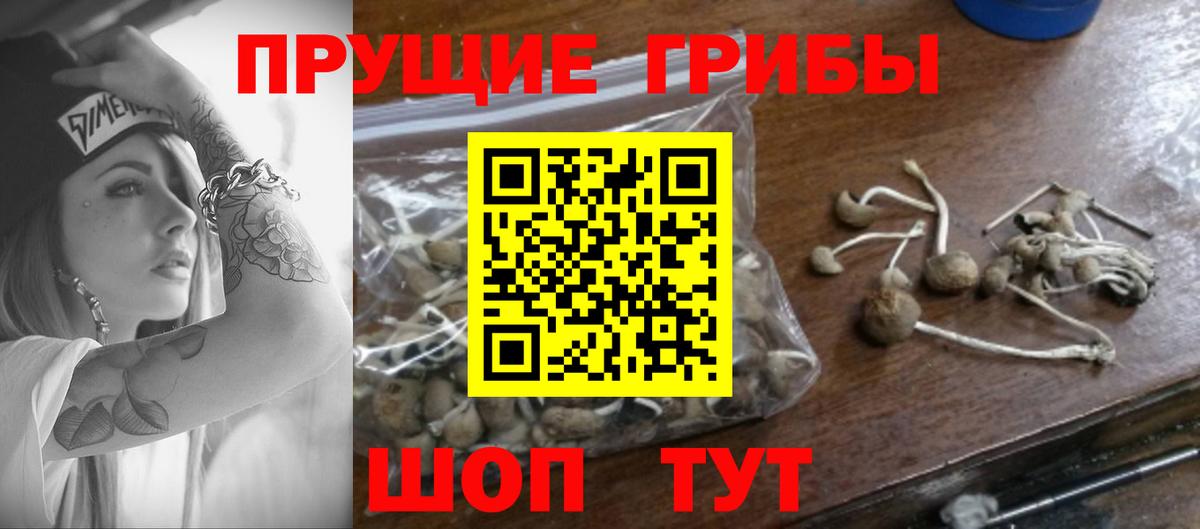 Псилоцибиновые грибы GOLDEN TEACHER  Вход с VPN  Новокубанск 