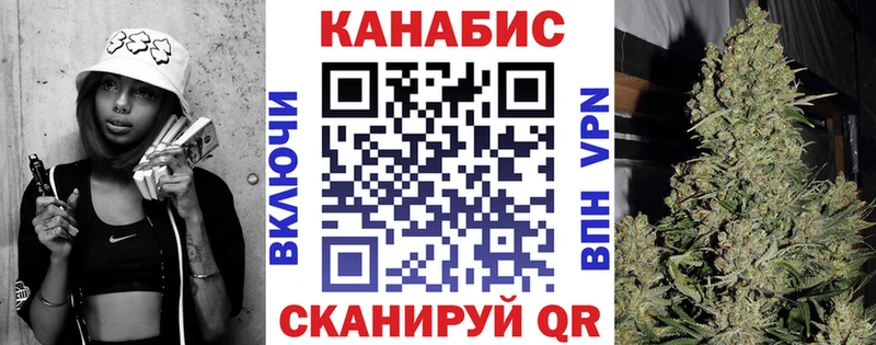 где можно купить   Новокубанск  Шишки марихуана планчик 