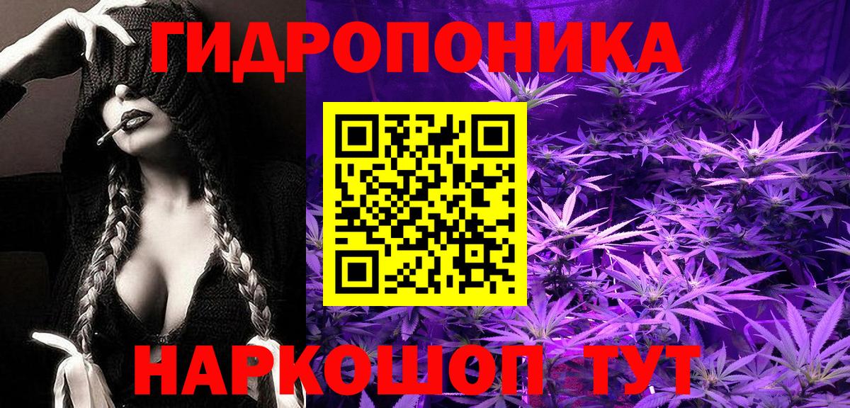 Конопля SATIVA & INDICA Новокубанск